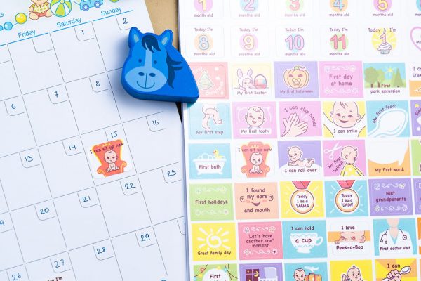 Baby Memory Sticker Calendar