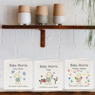 baby-morris-shelf-3