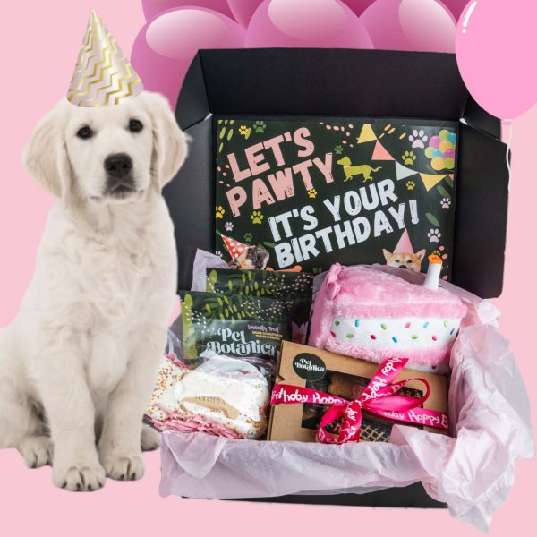Doggie Birthday Box